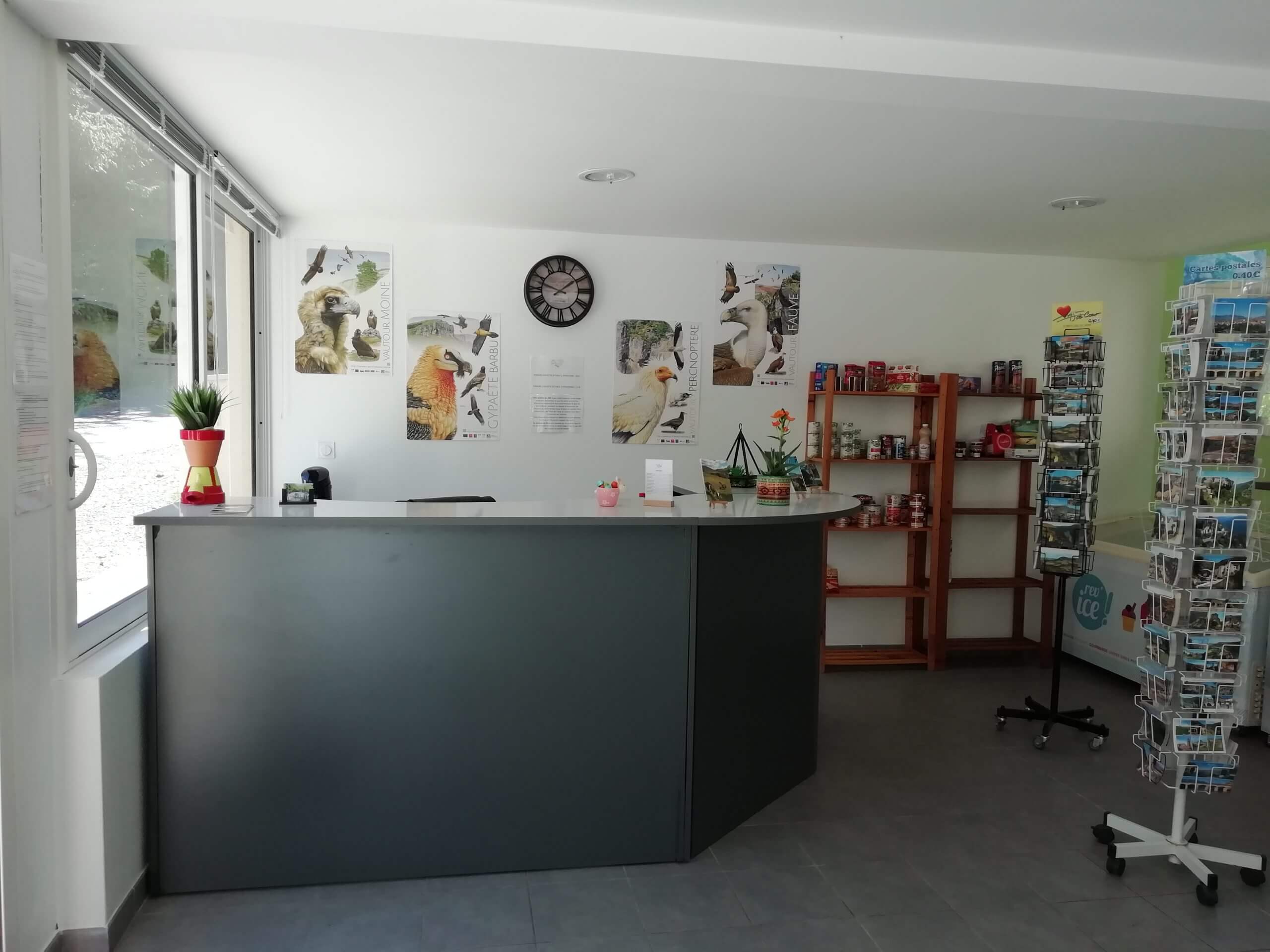 Accueil du camping le pont à rivière-sur-tarn